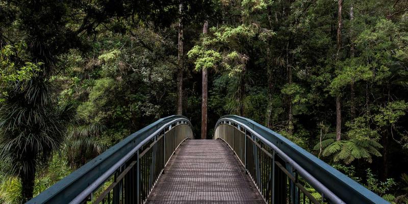 0731夜网46:解码长沙夜生活新地标与潮流娱乐风向