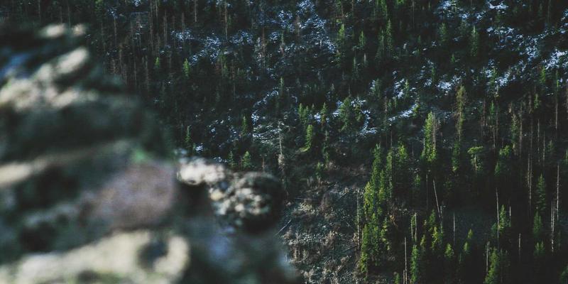 0731夜网65:解码长沙娱乐新地标与夜生活全攻略