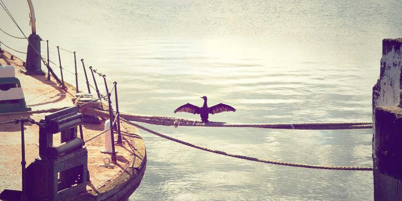 0731夜网87:解码长沙夜店文化与城市夜生活新趋势