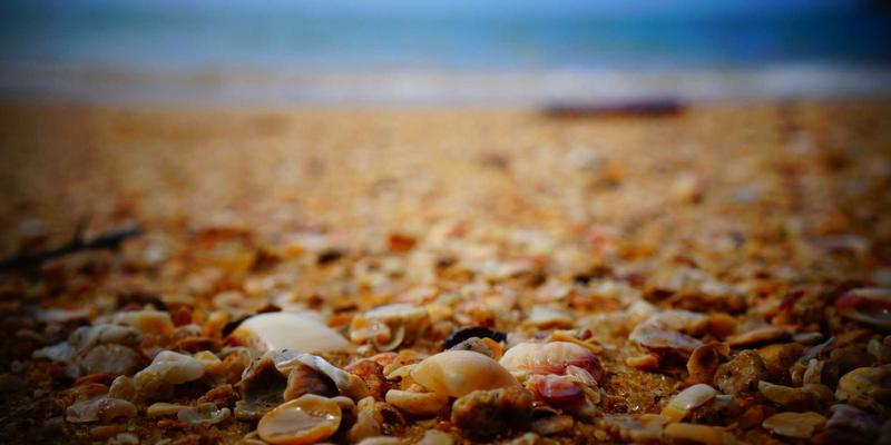 0731夜网90：解码长沙夜生活脉搏，探索星城不眠之夜