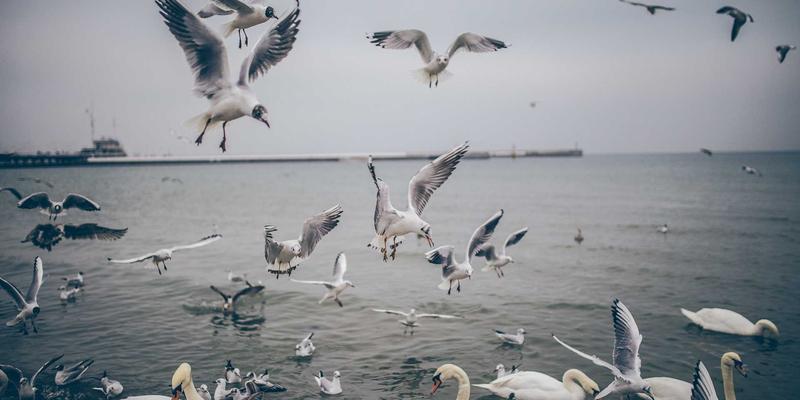 0731夜网98:解码长沙夜生活的潮流密码与娱乐新地标