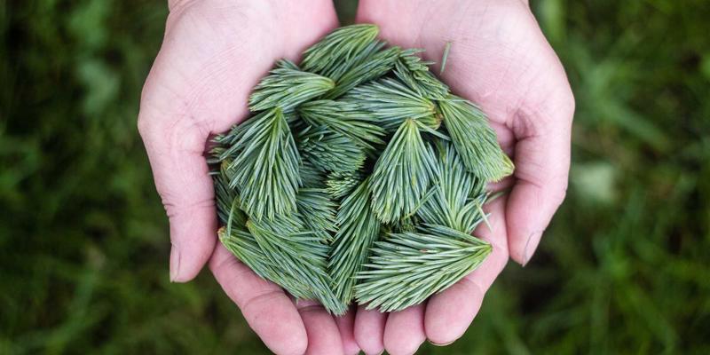 0731夜网探店报告：揭秘长沙新晋网红酒吧的真实夜生活体验与避坑指南