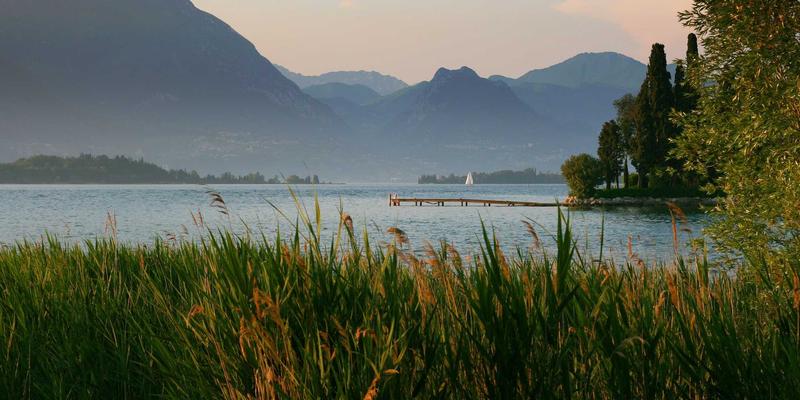 0731夜网:探索长沙夜间活力,尽享星城资讯与活动