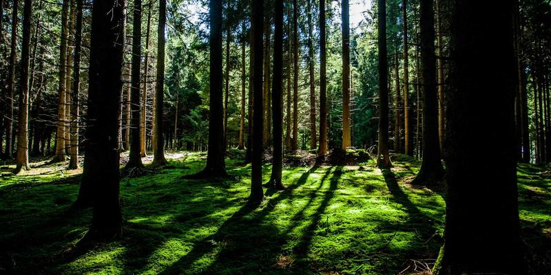 0731夜网推荐：长沙商务应酬与私密会谈顶级会所精选指南
